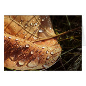 Wet Autumn Leaf - Card (Front Horizontal)