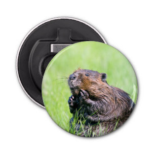 Wet Beaver Bottle Opener