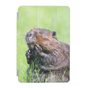 Wet Beaver iPad Mini Cover