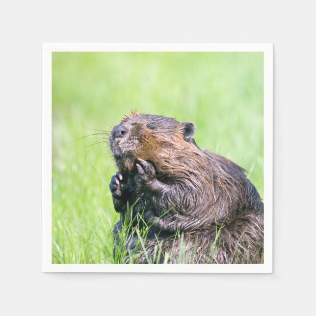 Wet Beaver Paper Napkins (Front)