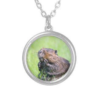 Wet Beaver Silver Plated Necklace