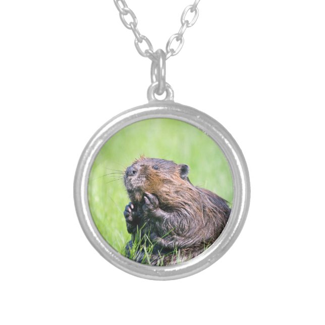 Wet Beaver Silver Plated Necklace (Front)
