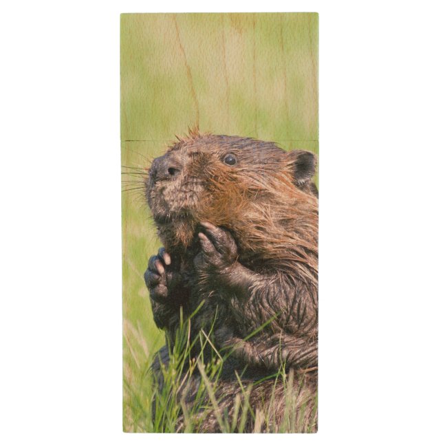 Wet Beaver Wood USB Flash Drive (Front Vertical)