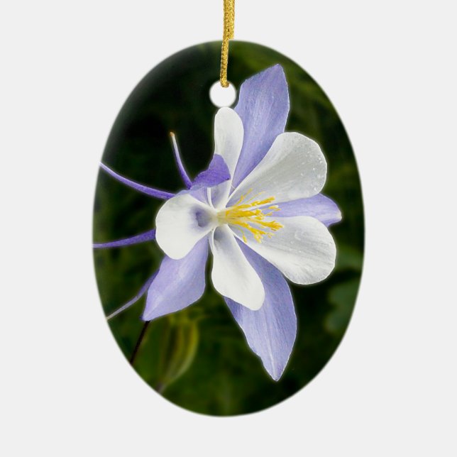 Wet Blue Columbine Ceramic Ornament (Front)