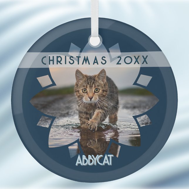 Wet Cat Photo Framed in Flower on Blue Glass Ornament (Creator Uploaded)