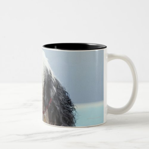 Wet Dog By a Swimming Pool Two_Tone Coffee Mug