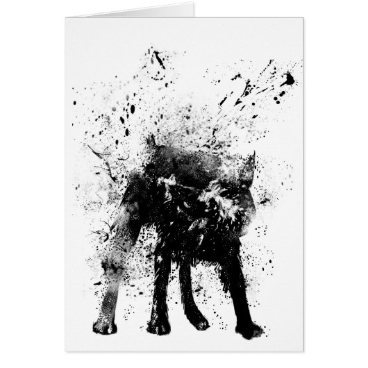 wet dog cards (Front)