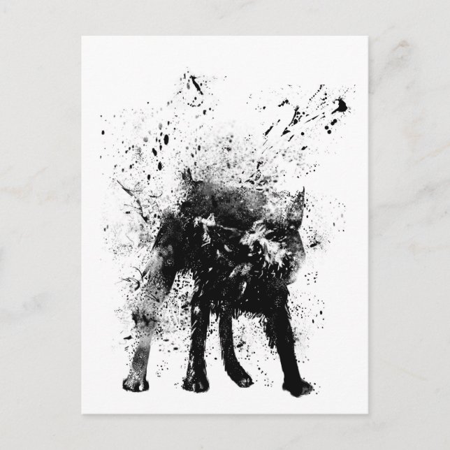 wet dog postcard (Front)