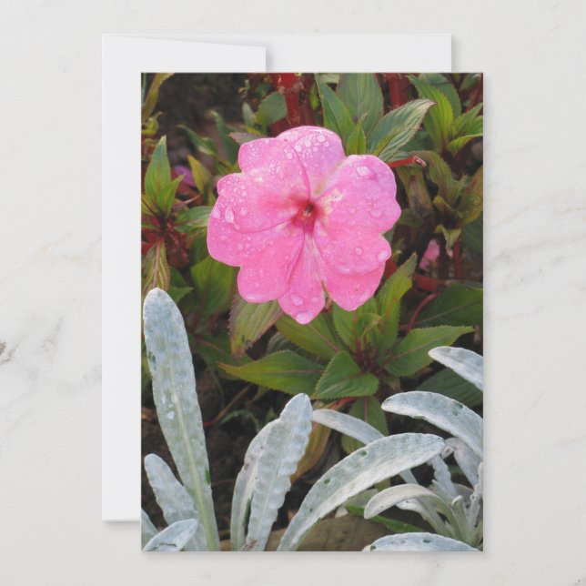 Wet Flower invitation, customize Invitation (Front)