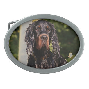 Wet Gordon Setter Belt Buckle