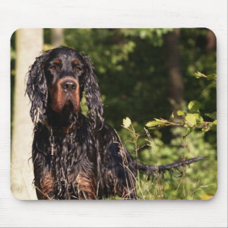 Wet Gordon Setter Mousepad