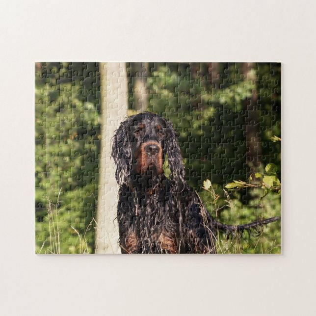 Wet Gordon Setter Puzzle (Horizontal)