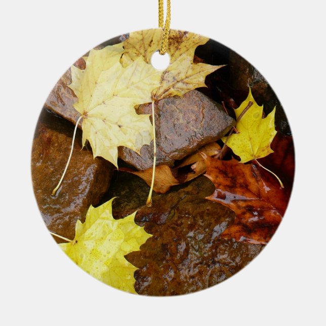 Wet Leaves and Rocks Autumn Nature Photography Ceramic Ornament (Front)