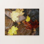 Wet Leaves and Rocks Autumn Nature Photography Jigsaw Puzzle