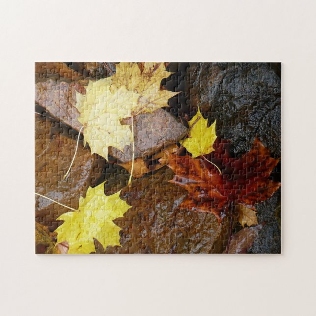 Wet Leaves and Rocks Autumn Nature Photography Jigsaw Puzzle (Horizontal)