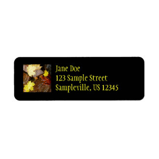 Wet Leaves and Rocks Autumn Nature Photography Label