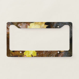 Wet Leaves and Rocks Autumn Nature Photography License Plate Frame