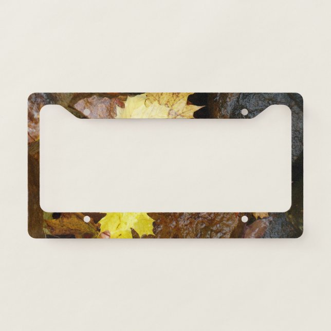 Wet Leaves and Rocks Autumn Nature Photography License Plate Frame (Front)