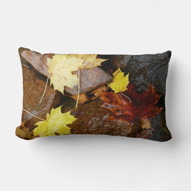 Wet Leaves and Rocks Autumn Nature Photography Lumbar Pillow (Front)