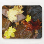 Wet Leaves and Rocks Autumn Nature Photography Mouse Pad