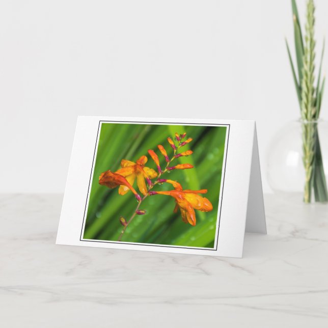 Wet orange flower greeting card (Front)