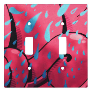wet paint light switch cover