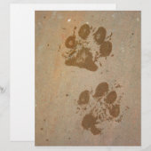Wet Paw Prints (Front/Back)