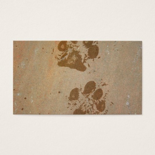Wet Paw Prints (Front)