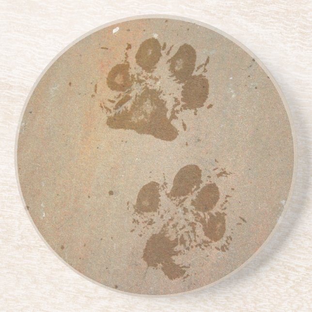 Wet Paw Prints Sandstone Coaster (Front)