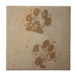 Wet Paw Prints Tile<br><div class="desc">Wet paw prints!</div>