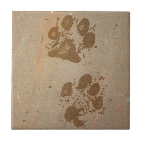 Wet Paw Prints Tile