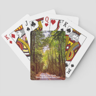 Wet Road Through Green Trees in Humboldt Autumn Poker Cards