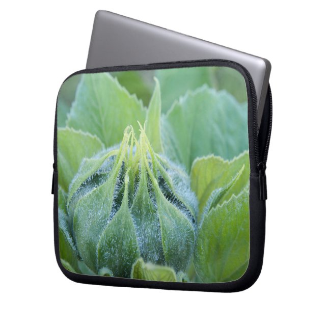 Wet Sunflower Bud Close Up Photograph Laptop Sleeve (Front Left)