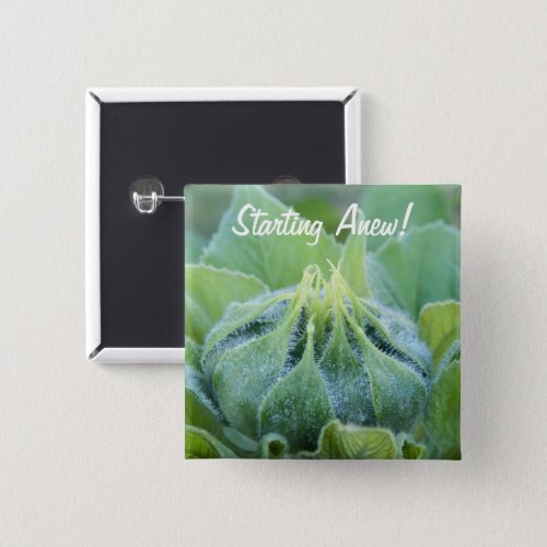 Wet Sunflower Bud Close_Up Photograph Pinback Button