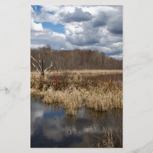Wetland Cloudscape (Front)