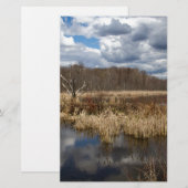 Wetland Cloudscape (Front/Back)