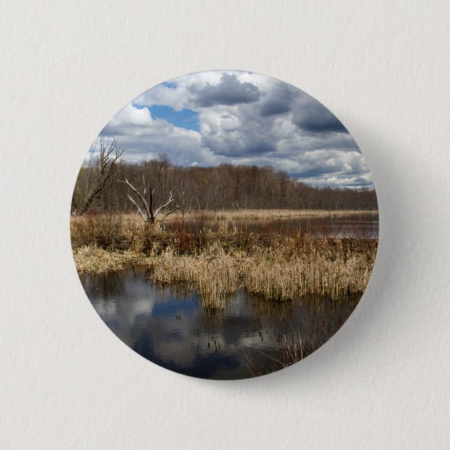 Wetland Cloudscape Button (Front)
