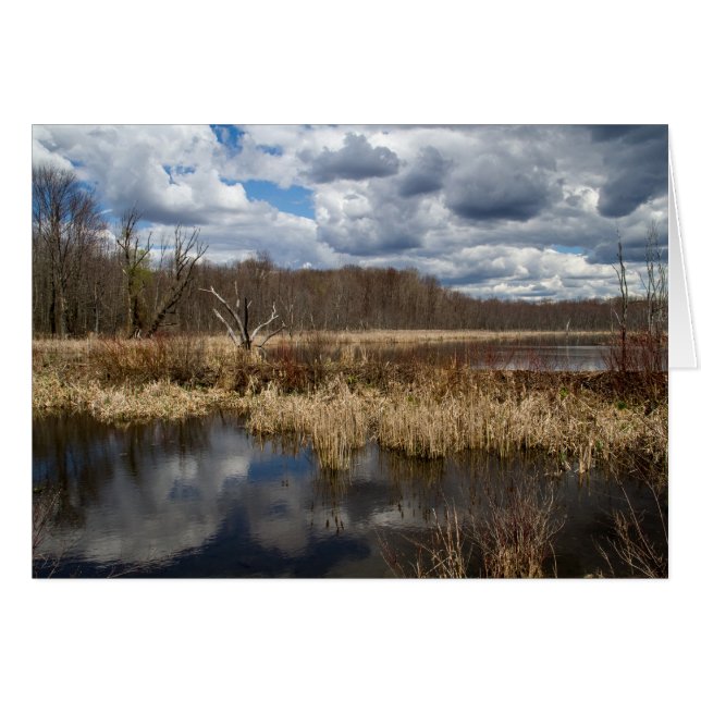 Wetland Cloudscape Cards (Front Horizontal)