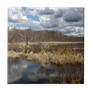 Wetland Cloudscape Tile