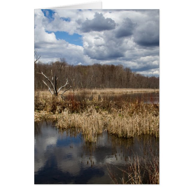 Wetland Cloudscape Vertical Cards (Front)
