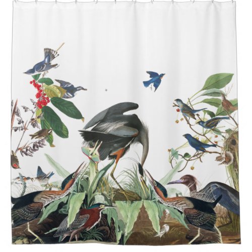 Wetland Collage Birds Audubon Shower Curtain