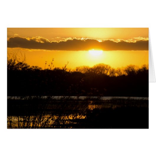 Wetland Gold Cards (Front Horizontal)