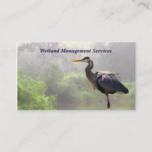Wetland Management Business Card