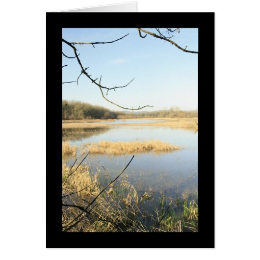 Wetland Wonderland Cards (Front)