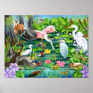 Wetland Wonders Poster