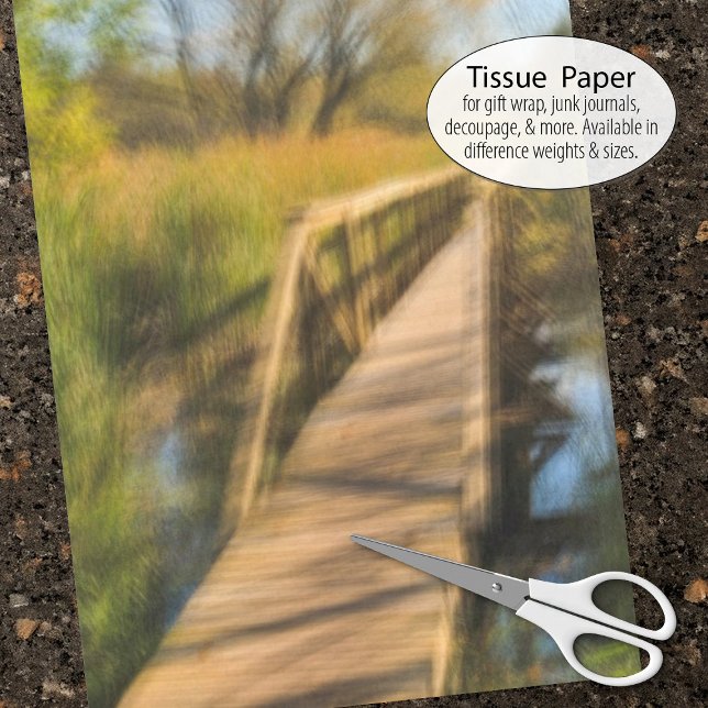 Wetlands Boardwalk Scene Early Fall Tissue Paper (Tissue paper for gift wrap and decoupage)