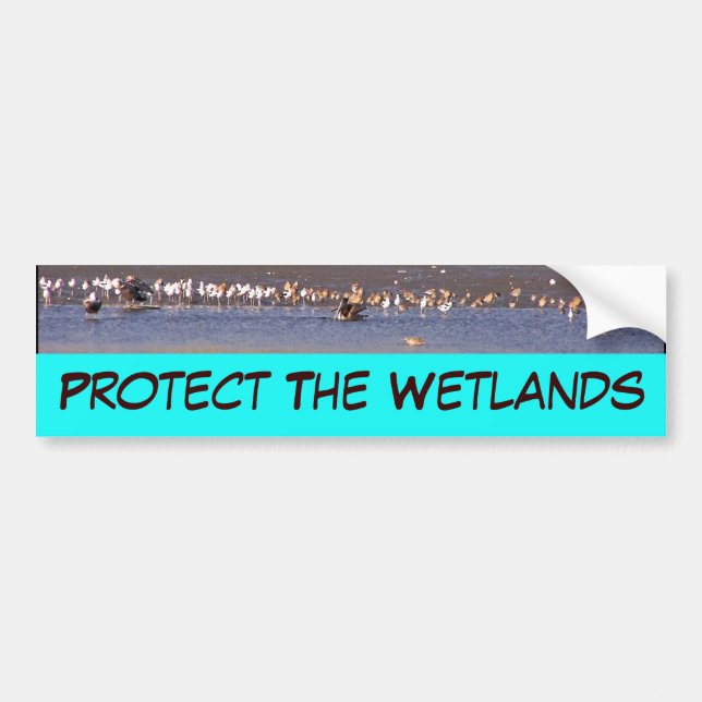 Wetlands Bumper Sticker (Front)