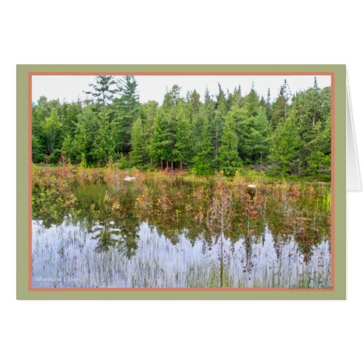Wetlands Cards (Front Horizontal)