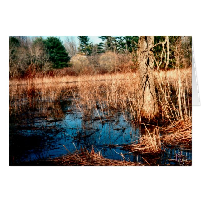 Wetlands Cards (Front Horizontal)
