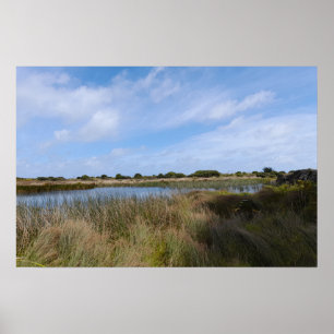 Wetlands New Zealand Photography Beautiful Places Poster